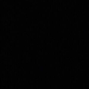 Meet your Posher, Arya